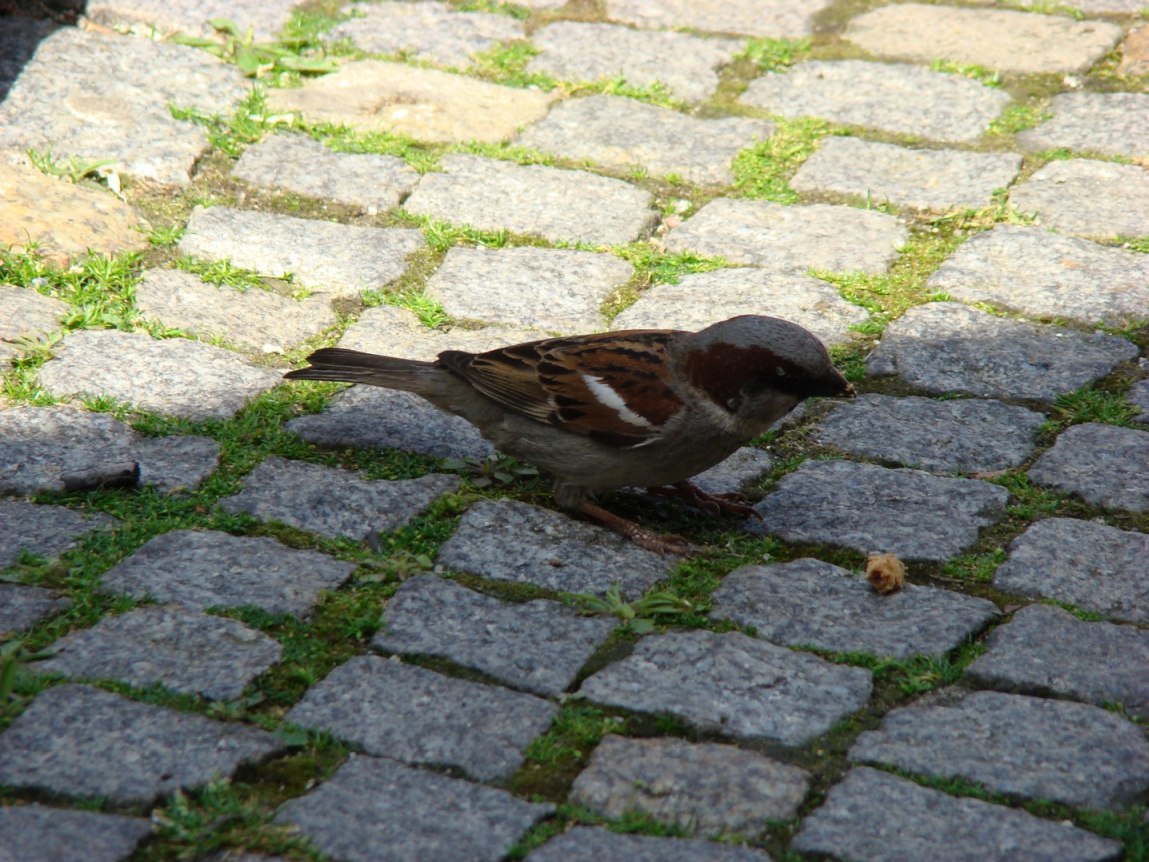 20190601PielgrzymkaSanktuaria_102.jpg