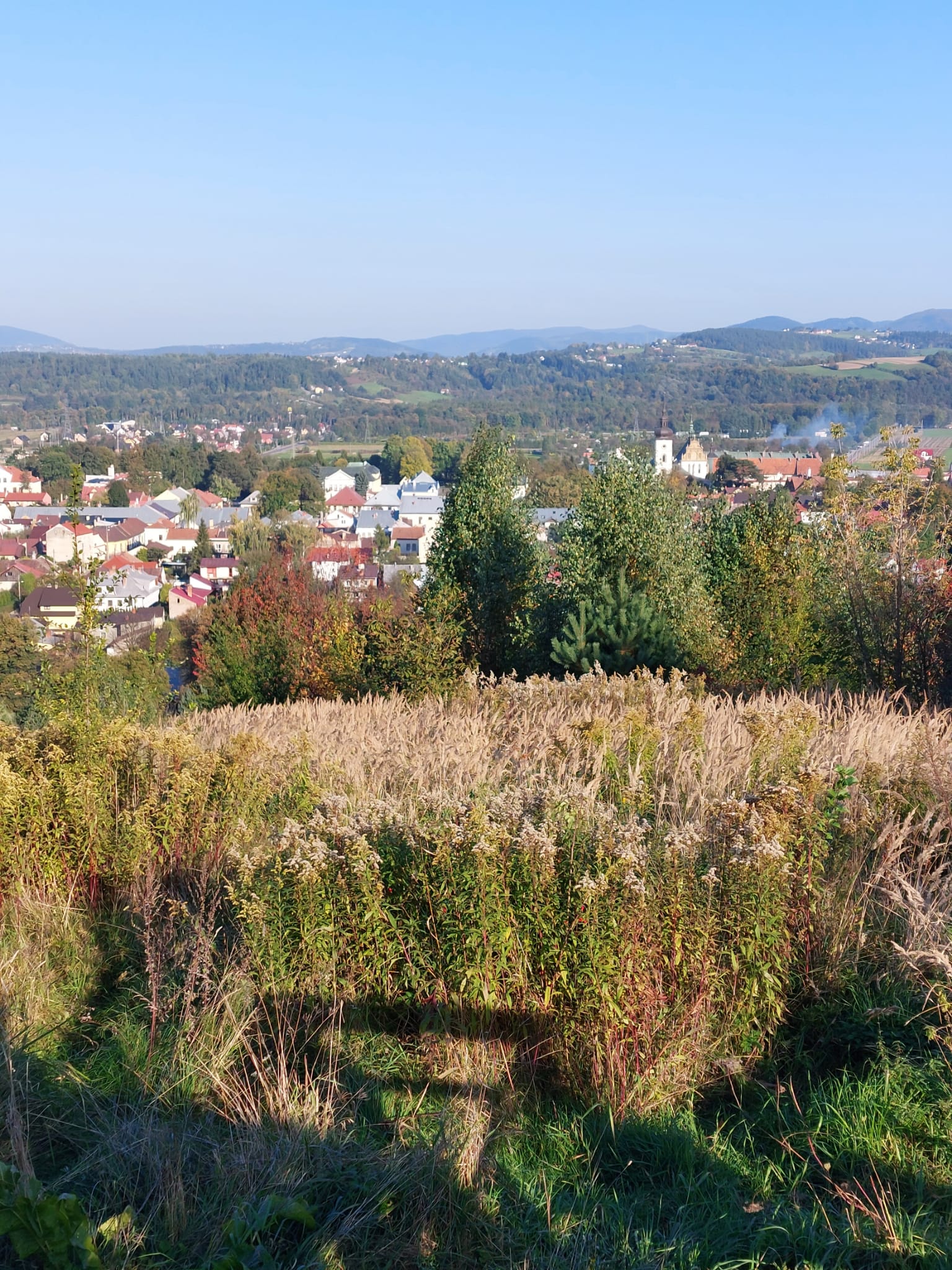 IMG-20211009-WA0024.jpg