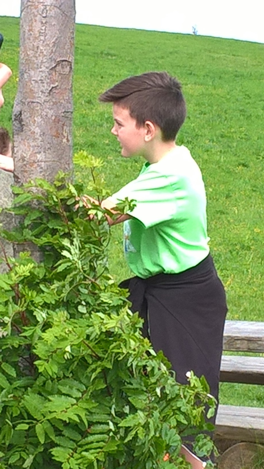 WP_20180512_14_56_31_Pro-Kopiowanie.jpg